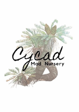 Cycad Mad Nursery