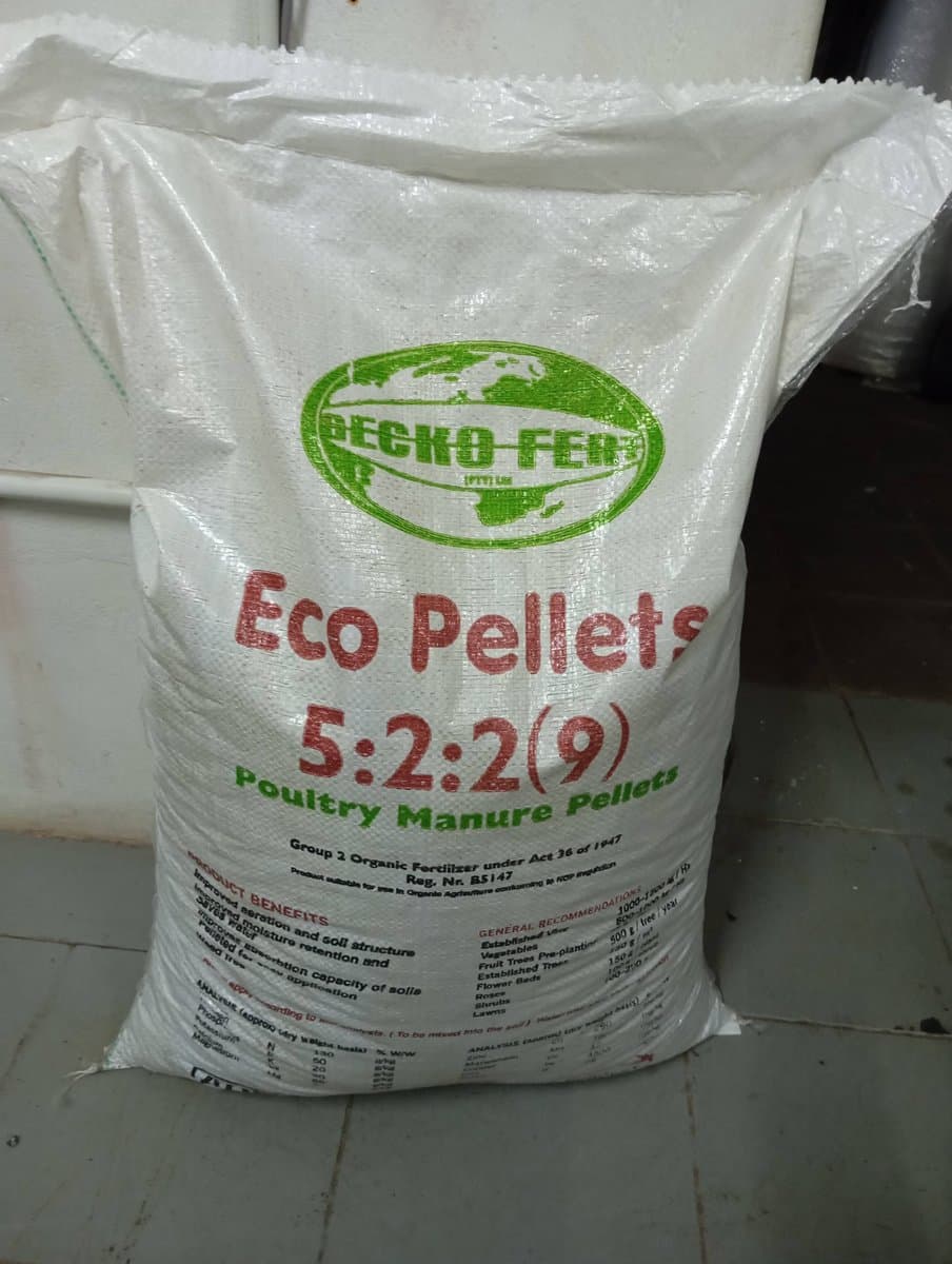 Chicken waste manure